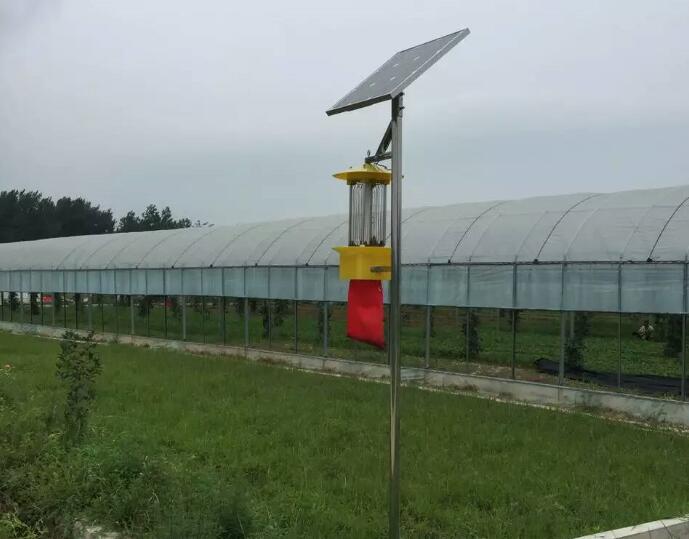 殺蟲燈在蔬菜蟲害防治中效果顯著